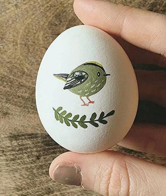 在鸡蛋上画画充满童趣大人孩子都喜欢diy创意手工