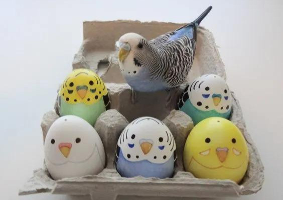 在鸡蛋上画画充满童趣大人孩子都喜欢diy创意手工