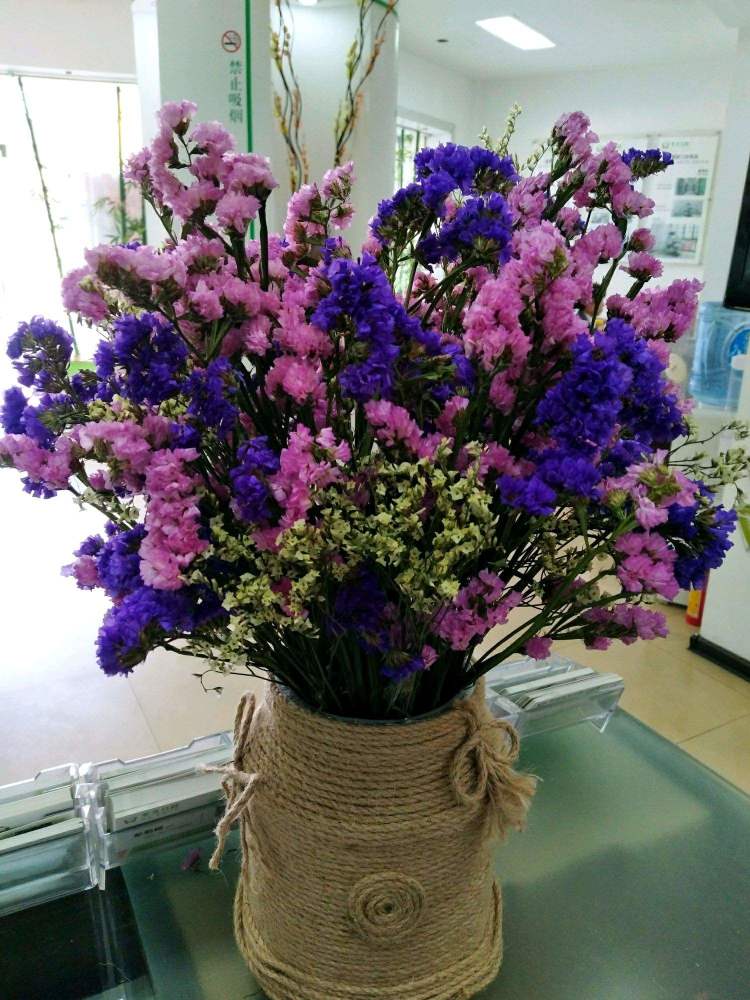 两种方法让鲜花保持 容颜 制作简单 动动手就能拥有 腾讯新闻