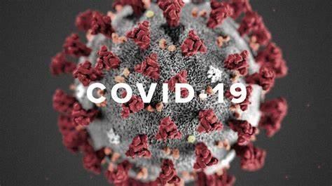 法国研究早在2019年12月份新冠病毒已经在法国社区广泛传播