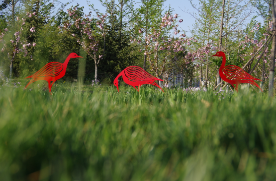 台湖万亩游憩园|亦庄新城这些打卡拍照胜地，你知道几个？
