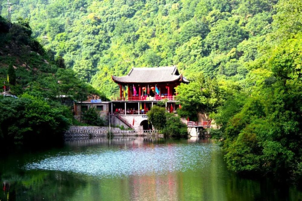 这里的森林公园,名副其实.