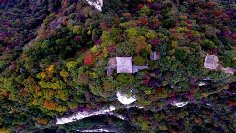 这里的森林公园,名副其实.