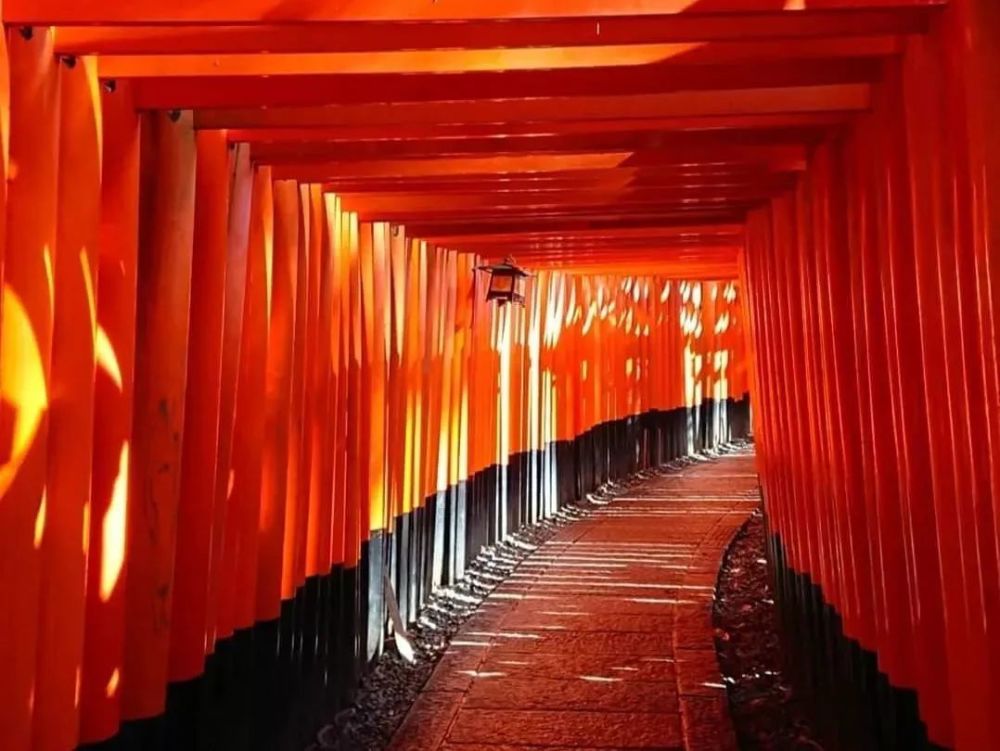 深度 10个日本特色鸟居神社 开启从人间通往神域的大门 腾讯新闻