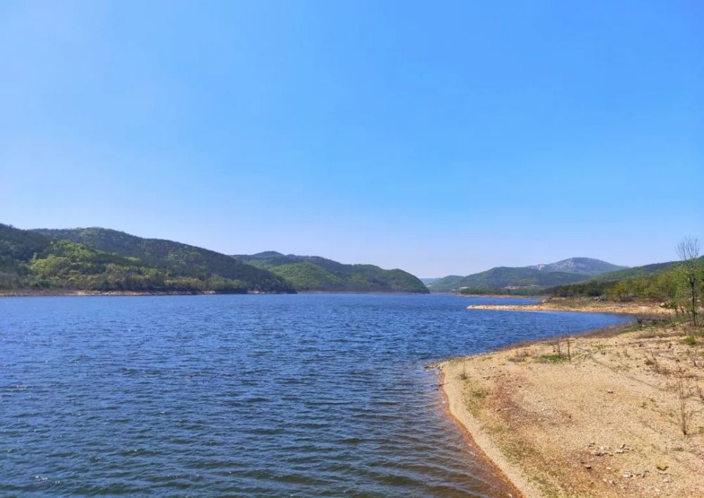 最美大连龙王塘樱花园