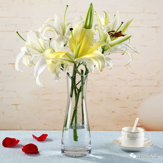 花瓶的摆放风水及禁忌 风水 生肖 煞气