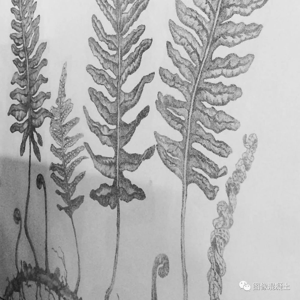 城市排水涡流控制构件制造和工作原理