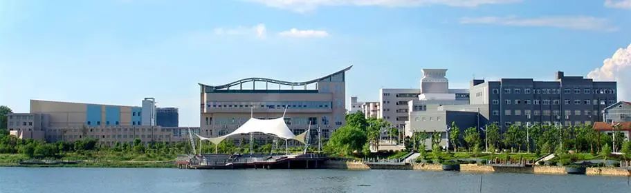 专科学校,岳阳大学(专科),岳阳教育学院合并升格为本科岳阳师范学院