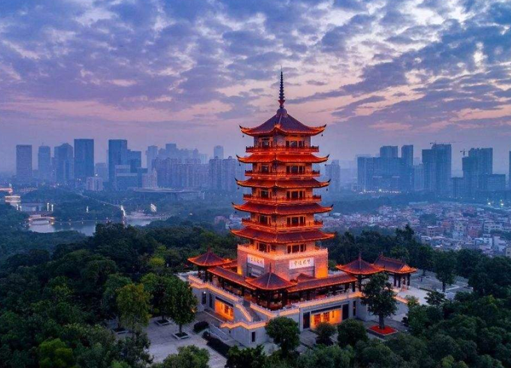 佛山人口2021总人数口_佛山十年增加230多万人常住人口数量居全省第四(2)