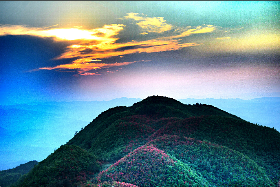 贵州黄平五一小长假游客赏花爆满大高山