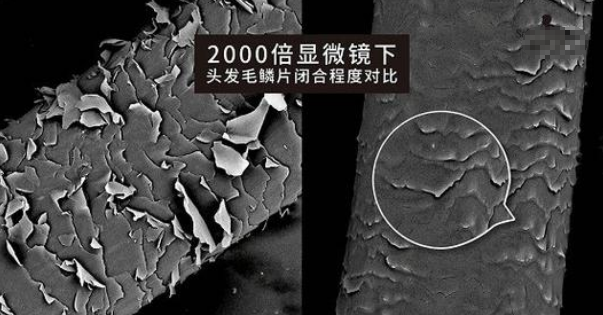 你"梳头"的方式,正悄悄"摧毁"头发|毛鳞片|梳子|短发|头发|头皮