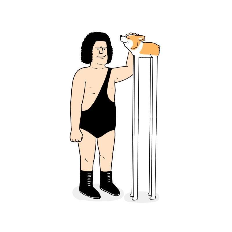 「脚长长2m变得比巨人安德烈(223cm)还要高.干得好柯基!」