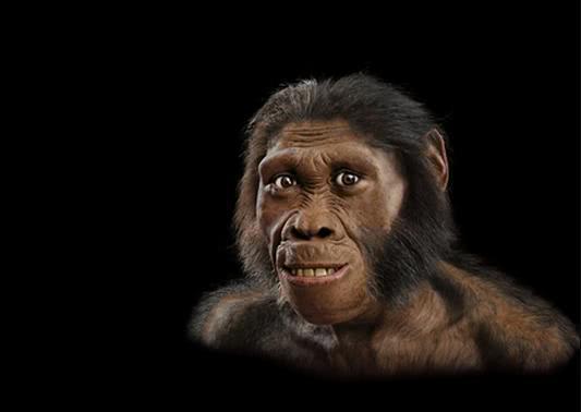 北京猿人真的不是我们的祖先吗?为何说人类起源于非洲?