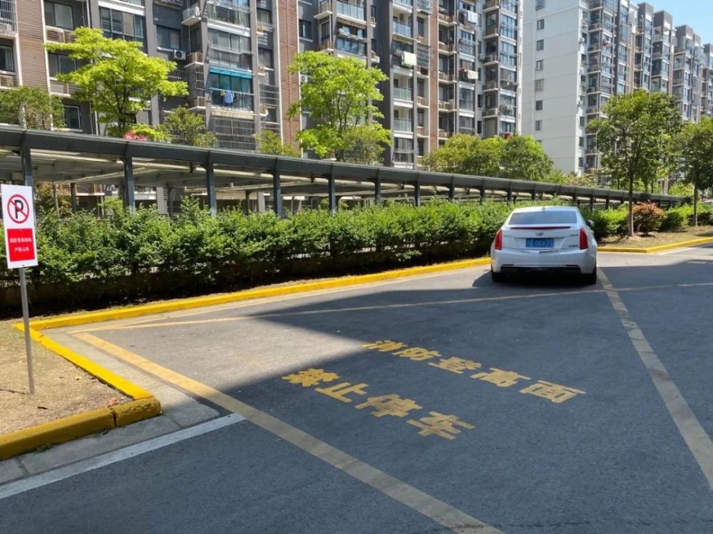 青阳毓秀园小区居民王某,因将私家车停放在小区消防通道被处以200元