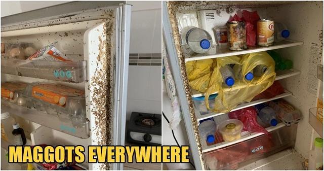 大马男子阔别两月回出租屋冰箱里面挤满蛆虫密密麻麻令人作呕
