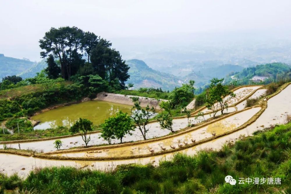 行走的风景邻水泥汉坪