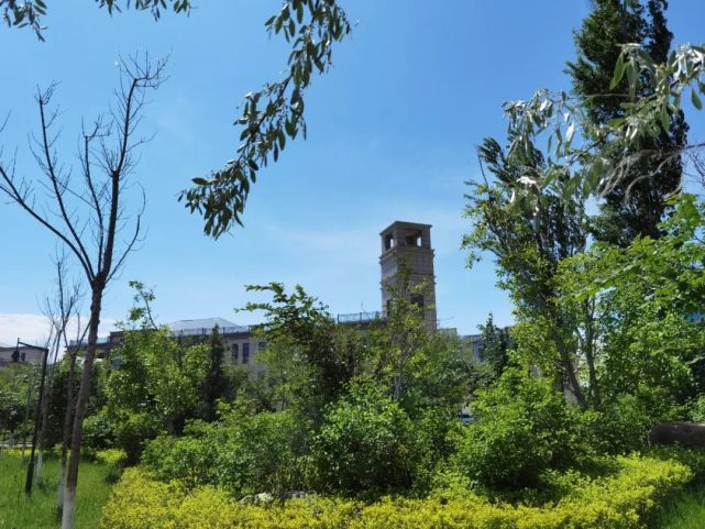 伊宁市伊犁河南岸新区