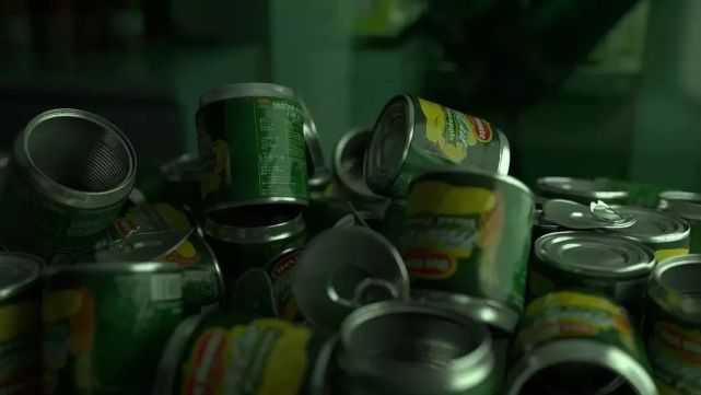 我是罐头里的凤梨,早已经过了赏味期