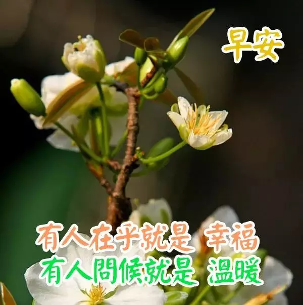 5月早上好简单问候正能量大全早上好祝福语表情图2020