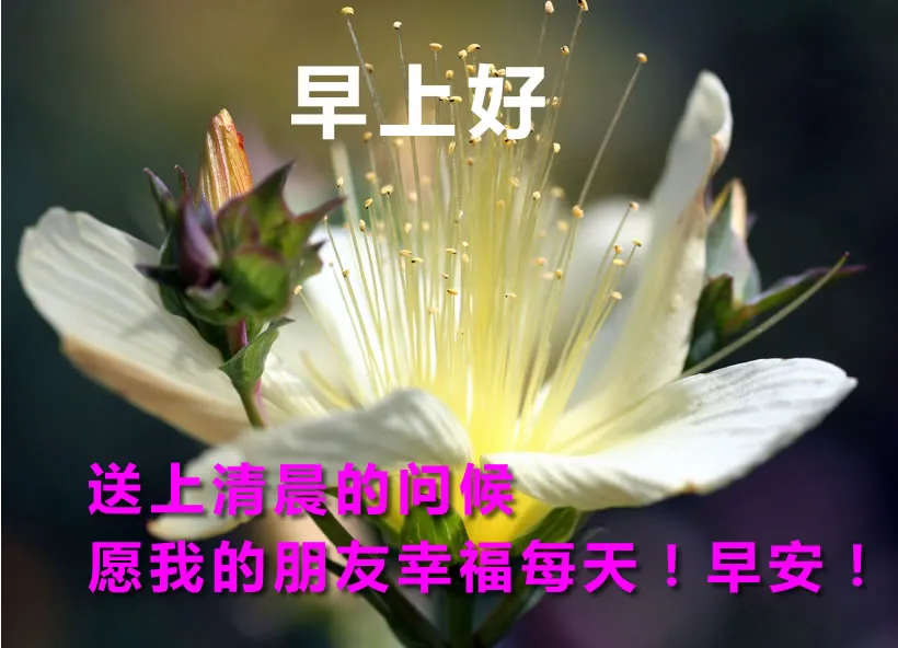 5月8日早上好漂亮问候图片短信祝福语最美早安问候祝福语图片带字