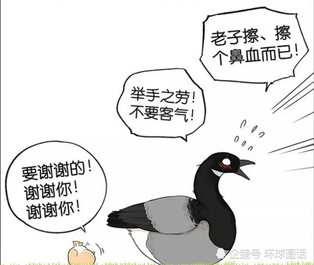 搞笑疯人小麻雀被人类抛弃后又遭同类排斥幸好大雁先生把它带到了北方