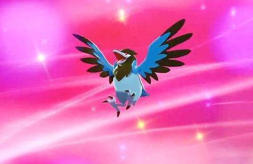 《宝可梦》图鉴822:头脑聪明,懂得使用工具的精灵——蓝鸦