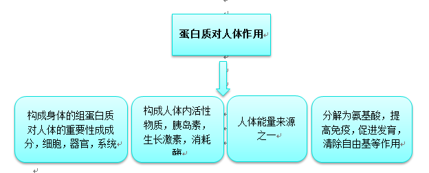 蛋白质对人体有多重要 为什么减肥的人离不开它 腾讯新闻