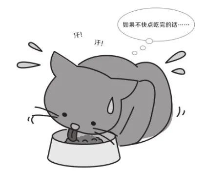 铲屎官你是否有很多问号猫语十级指南来了你要不要看