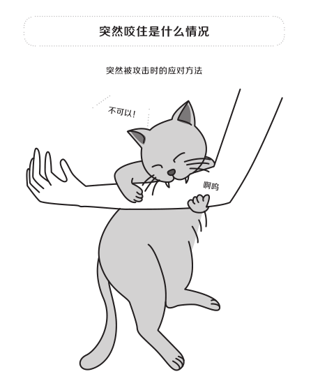 铲屎官你是否有很多问号?猫语十级指南来了,你要不要看?