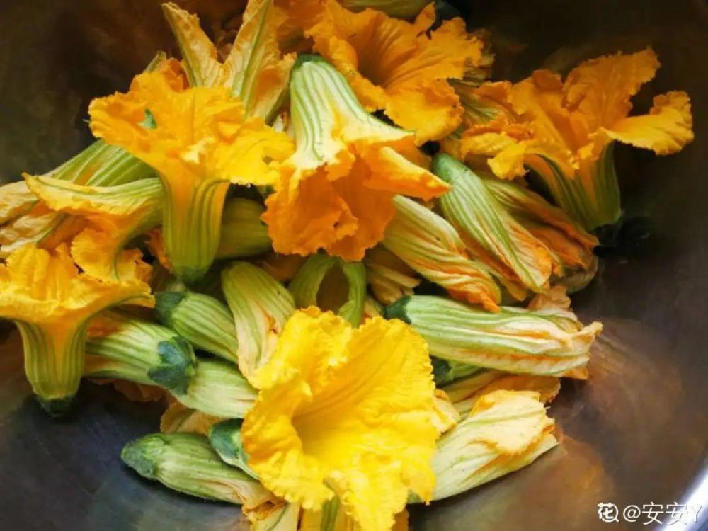 夏天这8种花 可以当菜吃 再不摘就没了 腾讯新闻
