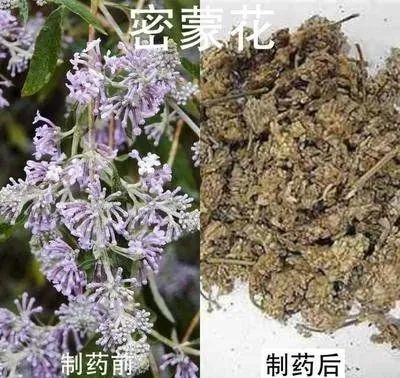 清热泻火药:决明子,密蒙花