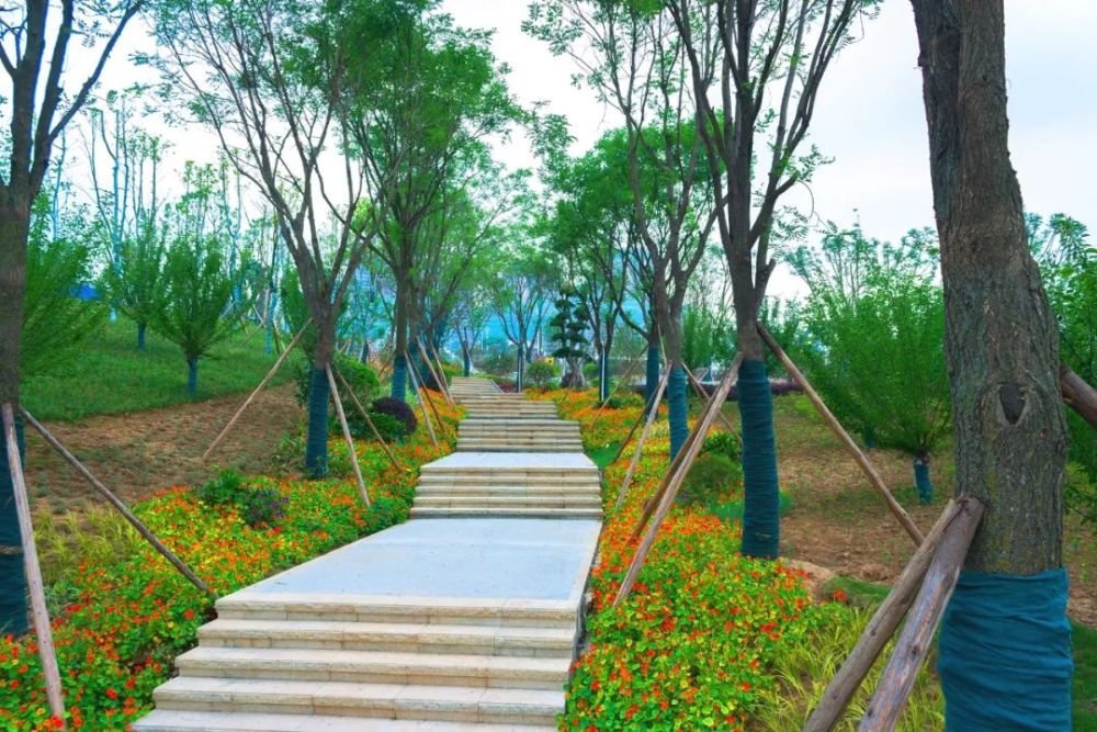 花滩市政南公园部分区域开园迎客!