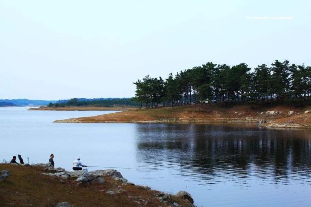 瑞金龙岗乡日东水库勇获189米大青鱼