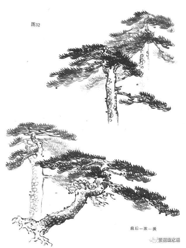 各种松树画法图片