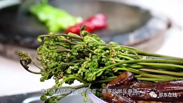 祁东发现 蕨菜炒腊肉足以解乡愁 腾讯网