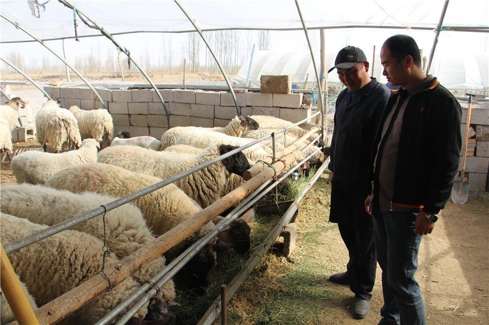 付小春摄目前,在甘肃瓜州县像张长青一样靠电商交易的人已不在少数.