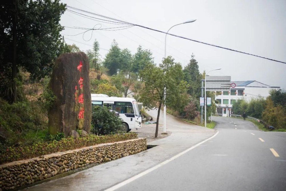 苍南十字路村 名家入驻的艺术沃土