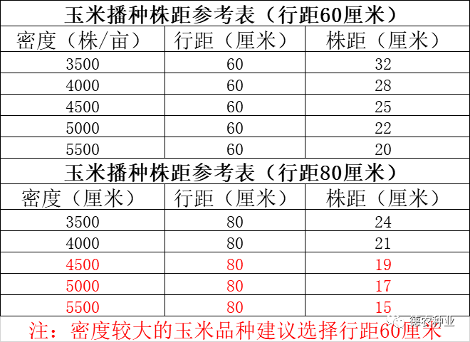 玉米株行距对照表图片