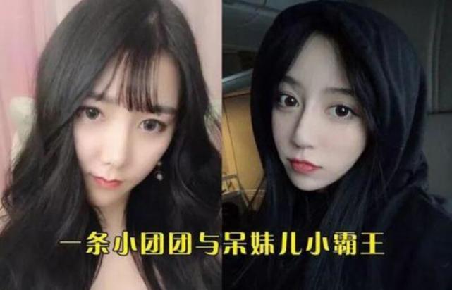 因为一点小事就互相辱骂,可能大家都觉得呆妹儿和小团团是竞争关系