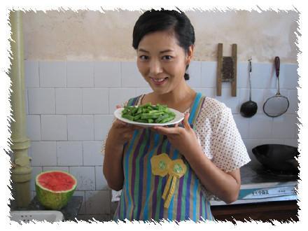 《三连襟》,《镇长》,《关中女人》,《黑金地女人》等农村题材的电视