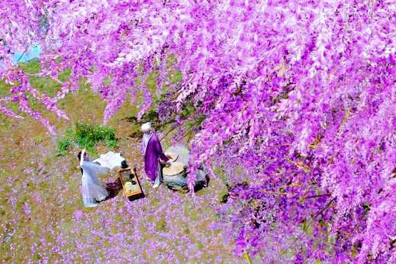 东华帝君|“东华帝君”，也许没有趁早成名，但依然满目光华