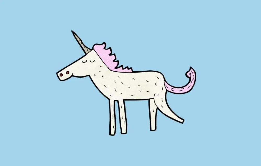 最好的初创公司应该叫骆驼，而不是独角兽