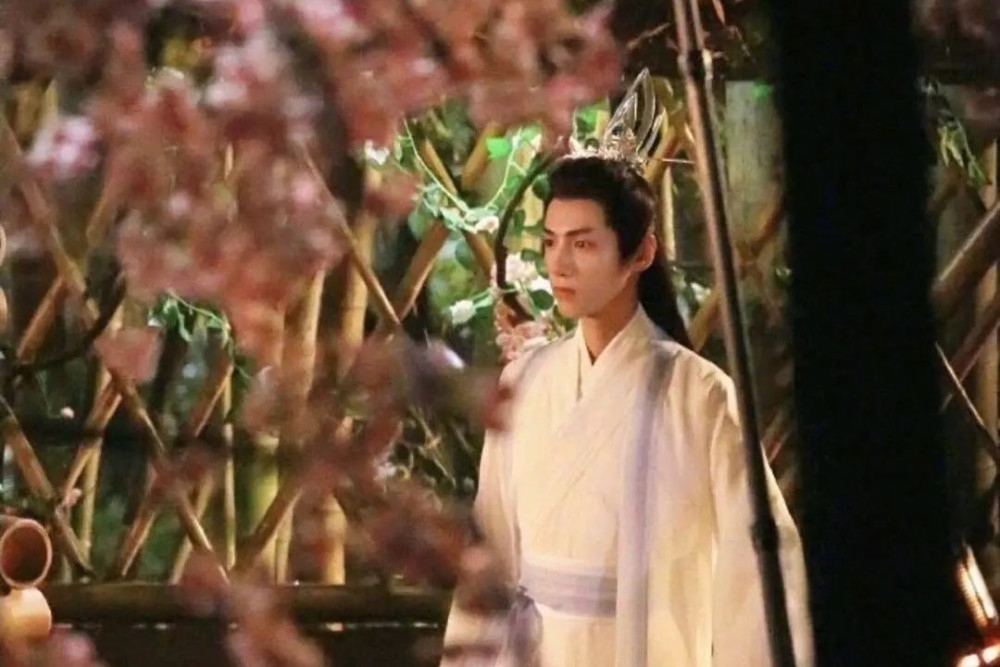 二哈与他的白猫师尊|饭圈风气给原耽作者带来了什么？《二哈》作者肉包怒怼黑子后退网