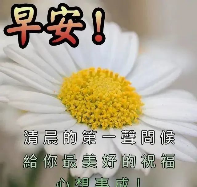 非常好看的早上好暖心問候語,早安祝福語表情圖片帶字