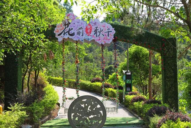 绣球花开东莞观音山清凉赏景正当时