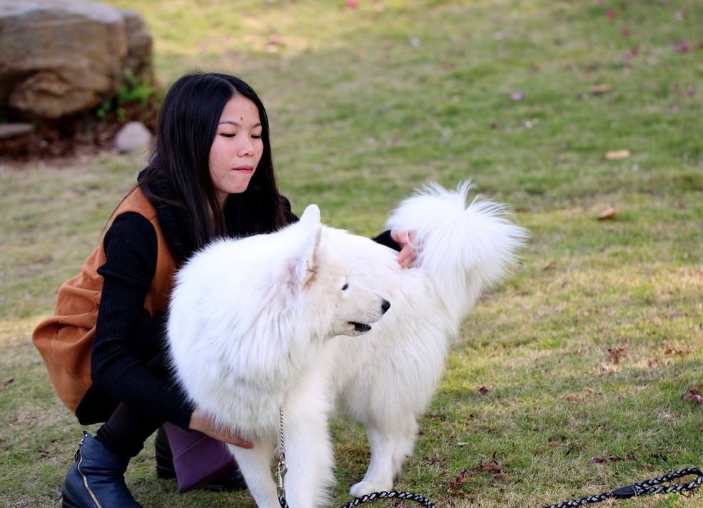 为什么单身美女喜欢养狗?还都是大型犬,美女含羞说出真相
