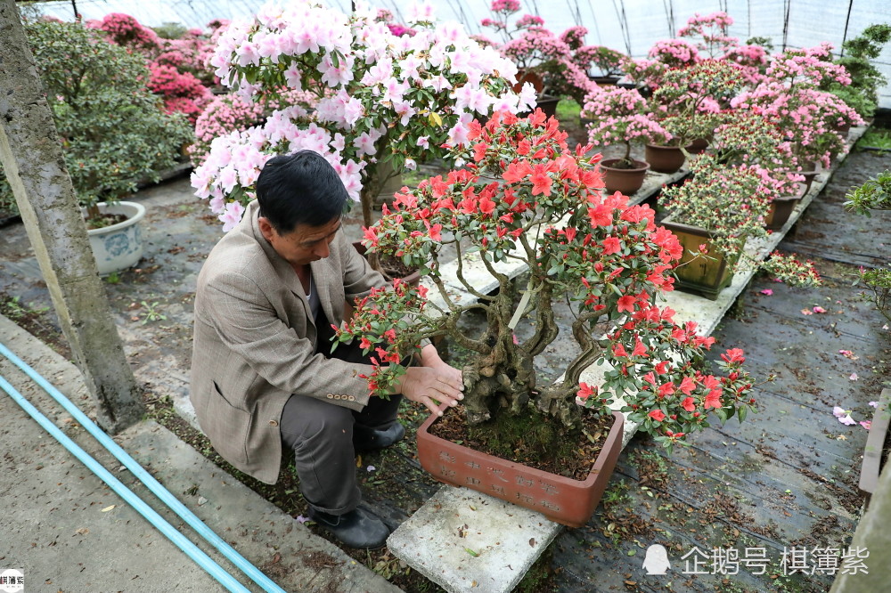 赔了50万 不裁员不降薪 这个 花王 老板咋想的呢 腾讯新闻