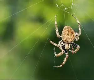 机智的云南人 用美食来治病 腾讯新闻