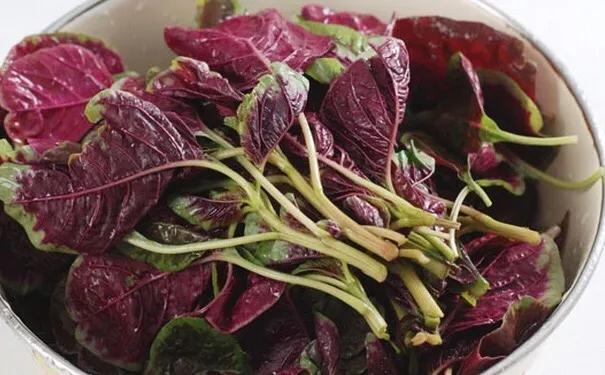 这个民间"补血菜",真的补血吗?