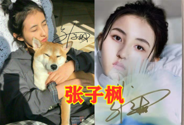 张子枫的签名,关晓彤的签名,宋祖儿的签名,看到蒋依依:认真的?